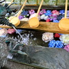 御裳神社  朝②