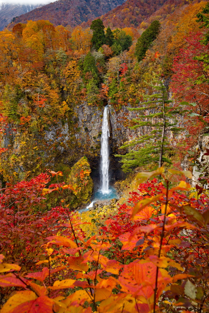 白水の滝