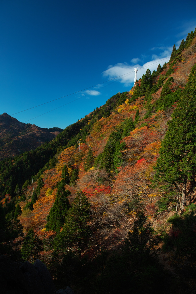 秋の御在所岳