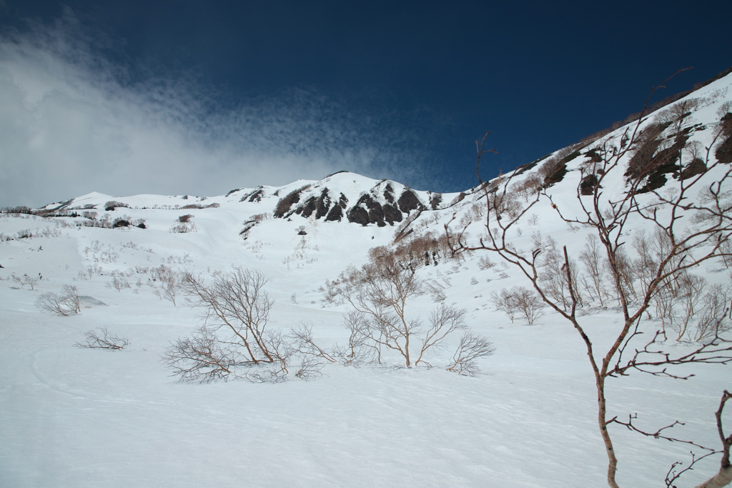 残雪期の栂池自然園