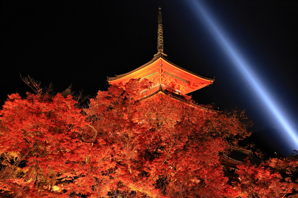 紅葉の清水寺