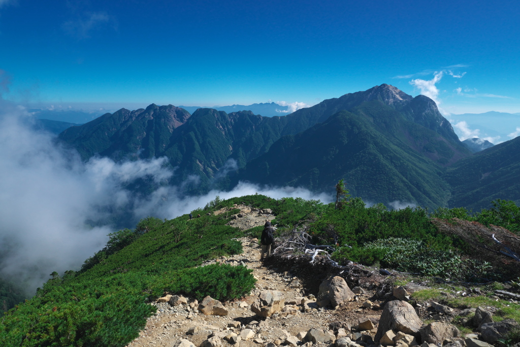 仙丈ケ岳