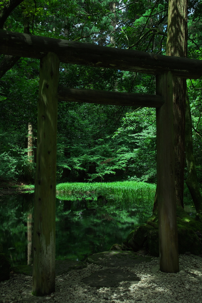 平泉寺白山神社