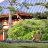 奈良への旅