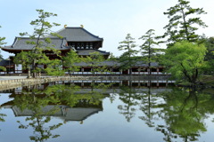 奈良への旅