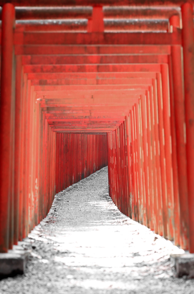 鳥居アーチ 2