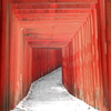 鳥居アーチ 2