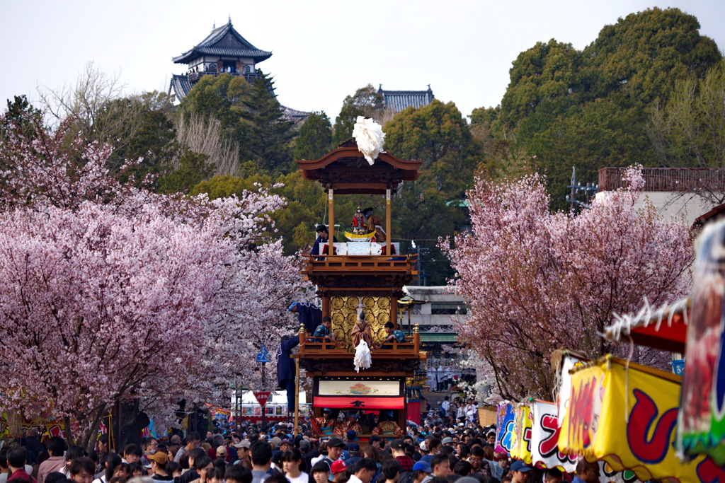 犬山祭り３