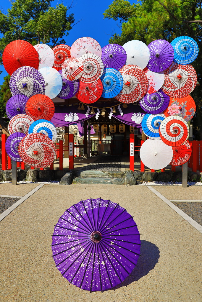 別小江神社~紫~