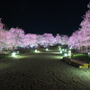 鈴鹿の森庭園