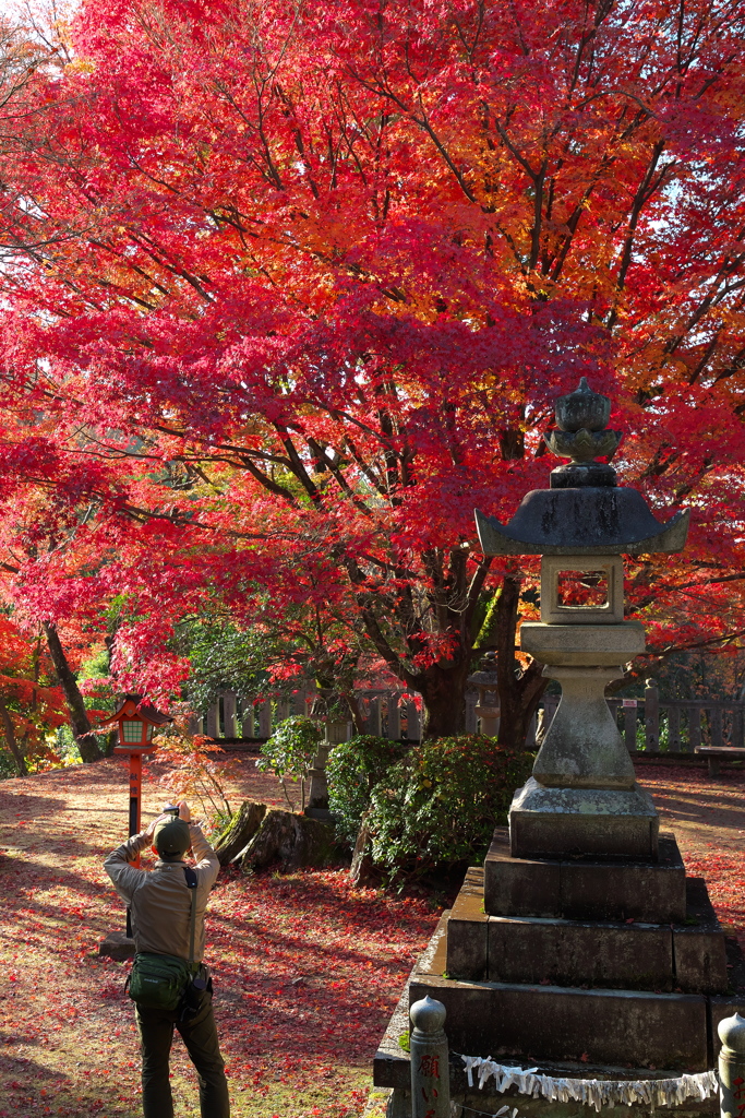 犬山寂光院