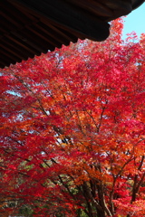 犬山寂光院