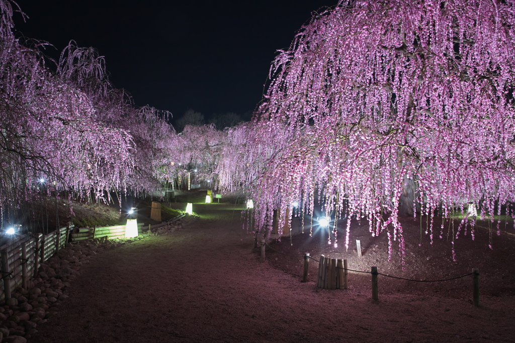鈴鹿の森庭園