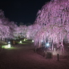 鈴鹿の森庭園