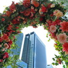 Sky GardenⅤ