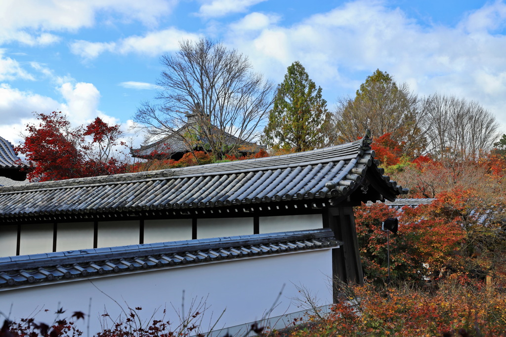 東福寺４