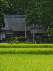 平泉寺白山神社