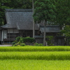 平泉寺白山神社