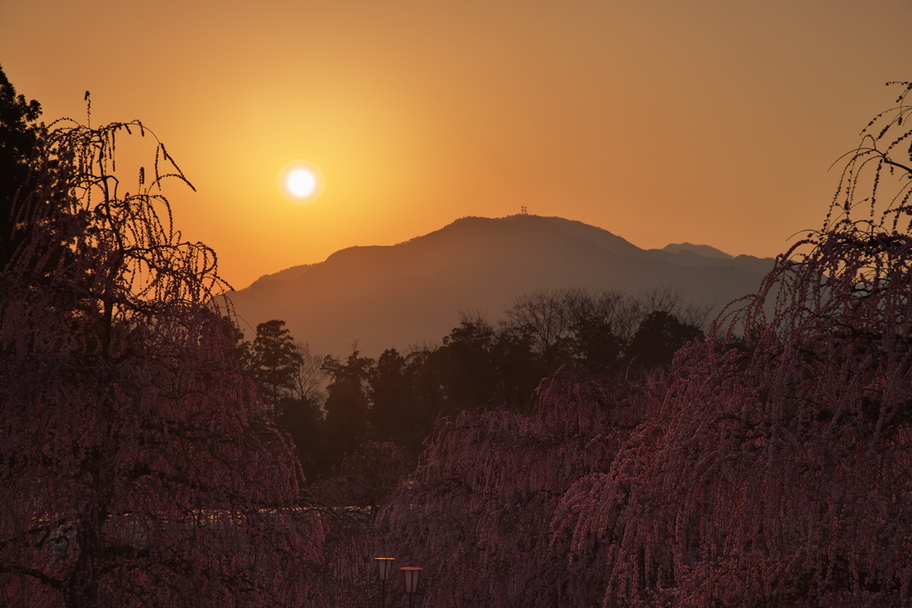 鈴鹿の森庭園