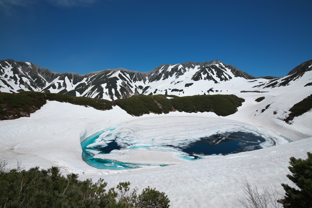 ６月の立山