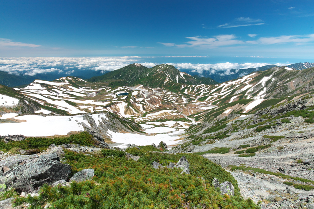 7月3日撮影 立山