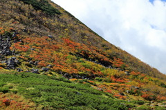 紅葉の立山2021