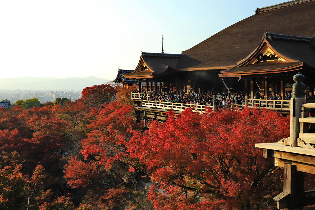 紅葉の清水寺