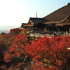 紅葉の清水寺