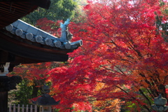 犬山寂光院