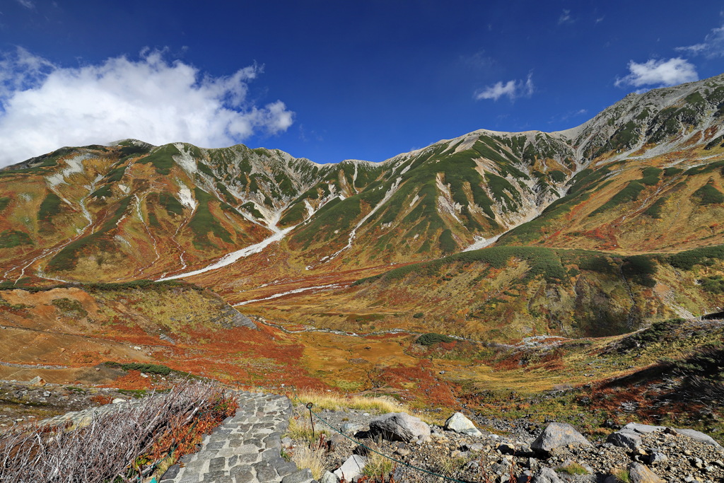 紅葉の立山2021