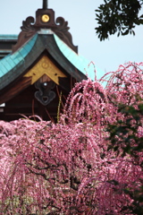 結城神社