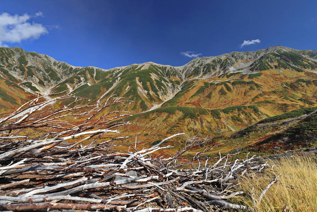 紅葉の立山2021