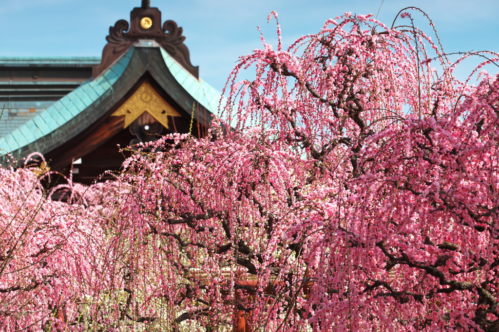 結城神社