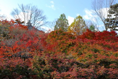 東福寺２