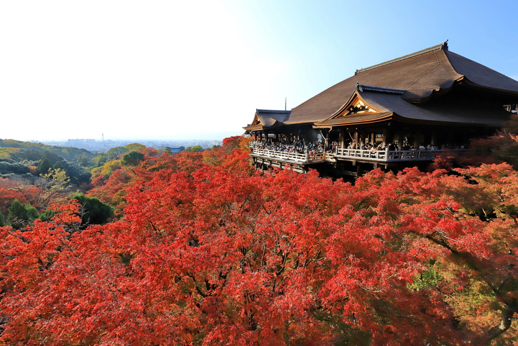 紅葉の清水寺