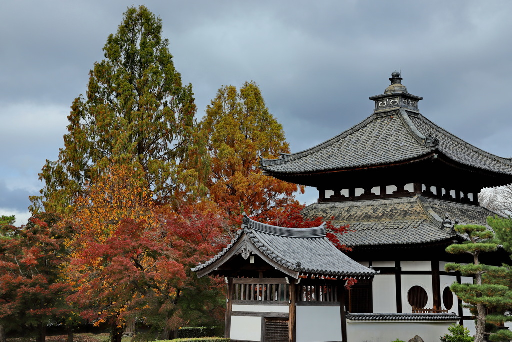 東福寺３