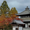 東福寺３