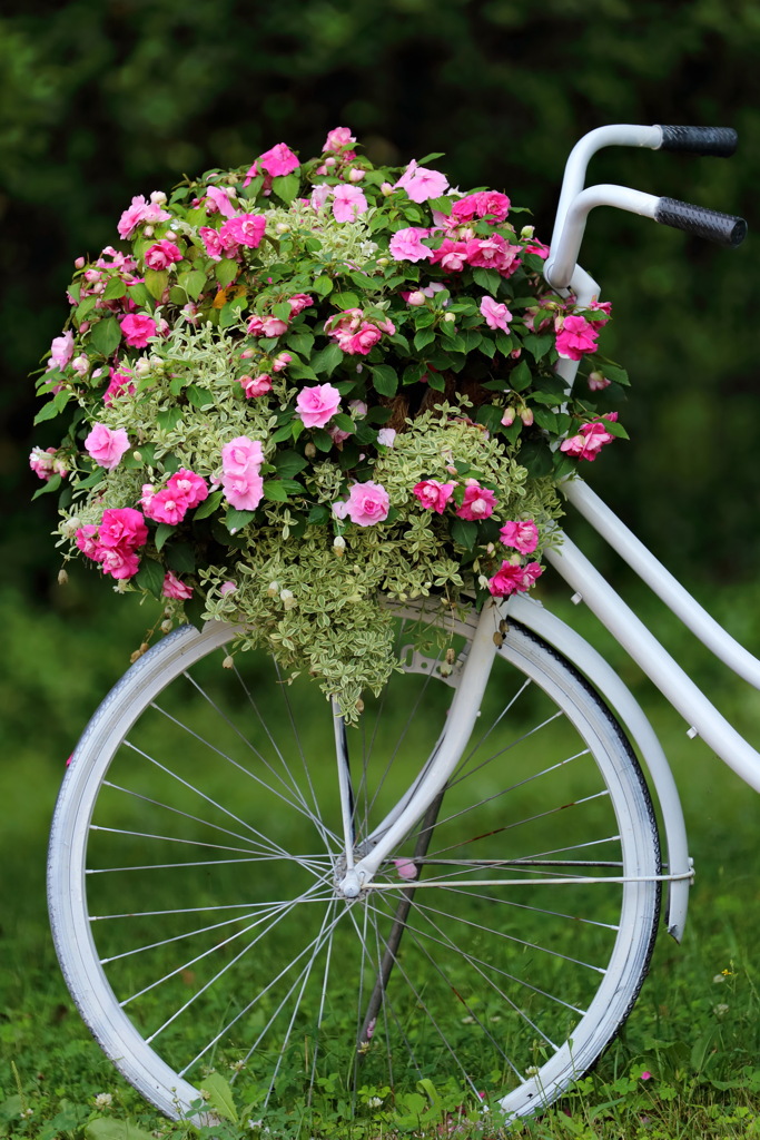 花かご自転車