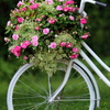 花かご自転車