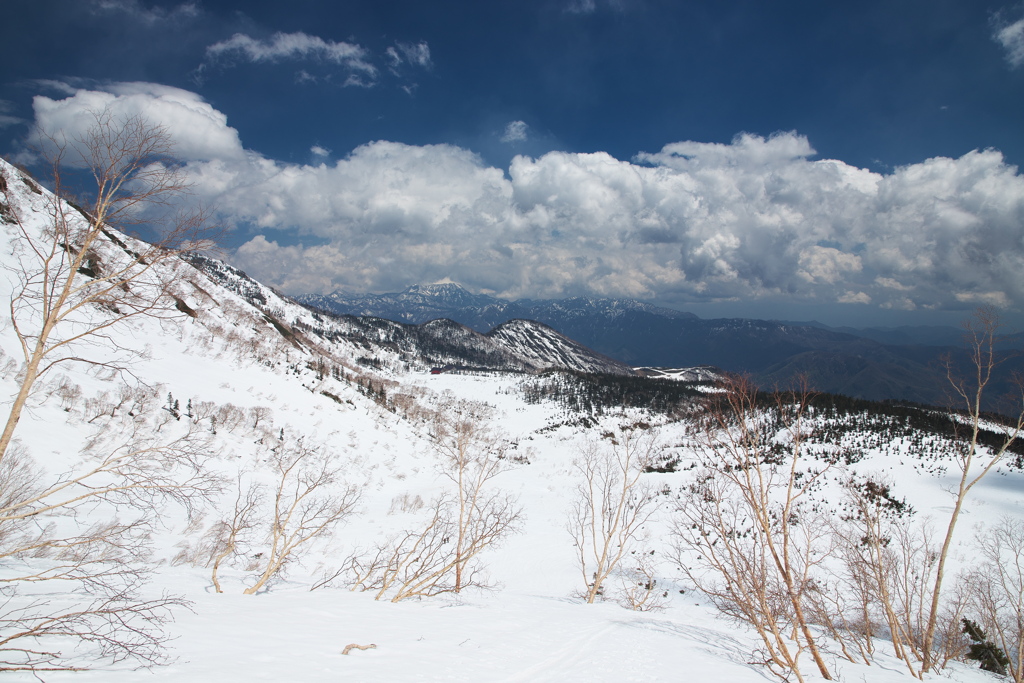 残雪期の栂池自然園
