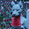 豊川稲荷②