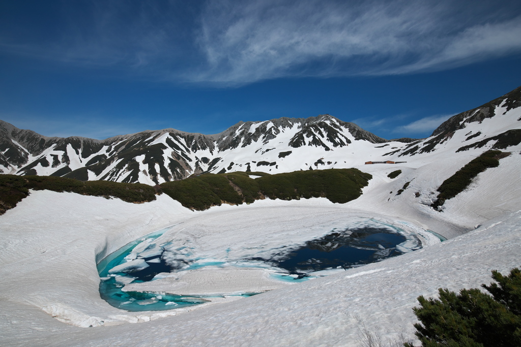 ６月の立山