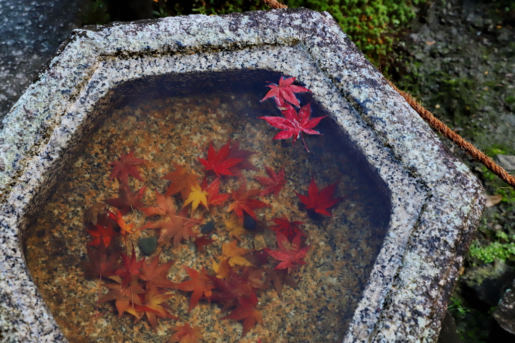 東福寺５