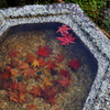 東福寺５