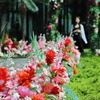 Sky GardenⅨ