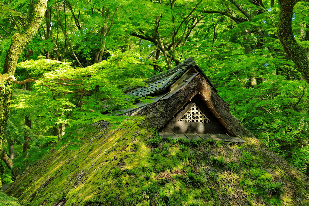 奈良への旅