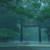 降りしきる雨の伊勢神宮　三