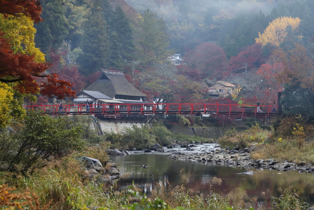 香嵐渓⑪