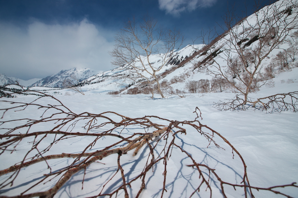 残雪期の栂池自然園
