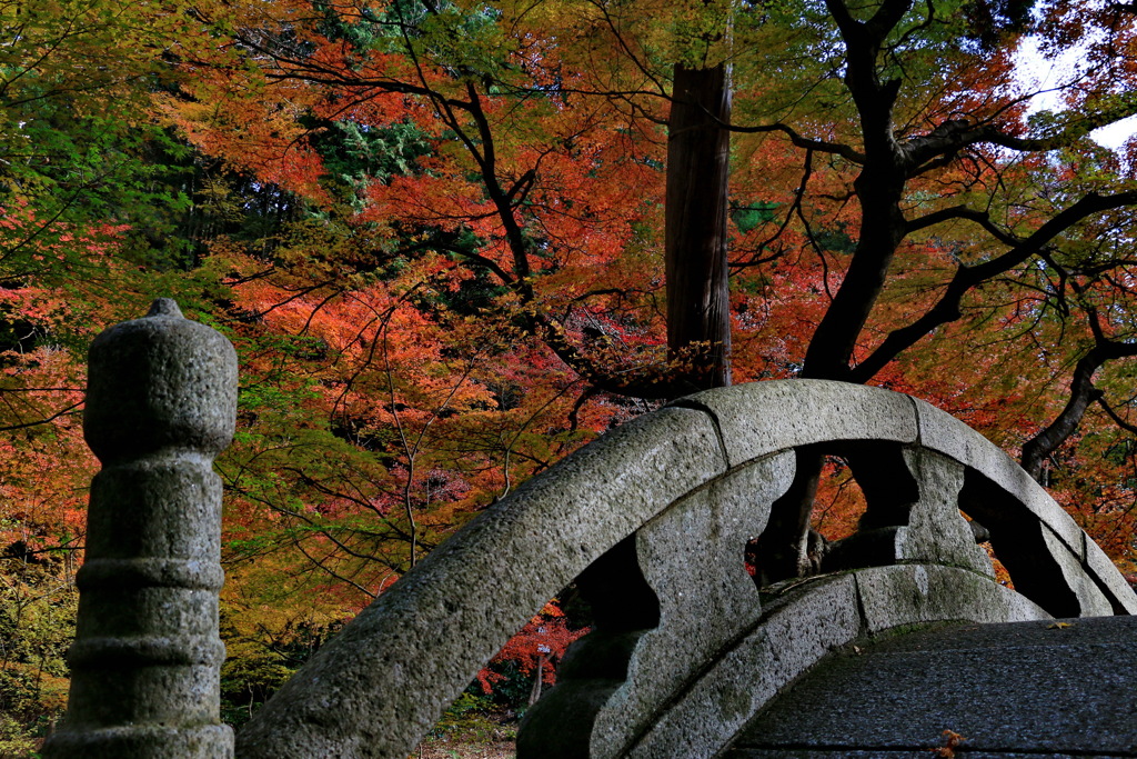 大矢田神社　橋